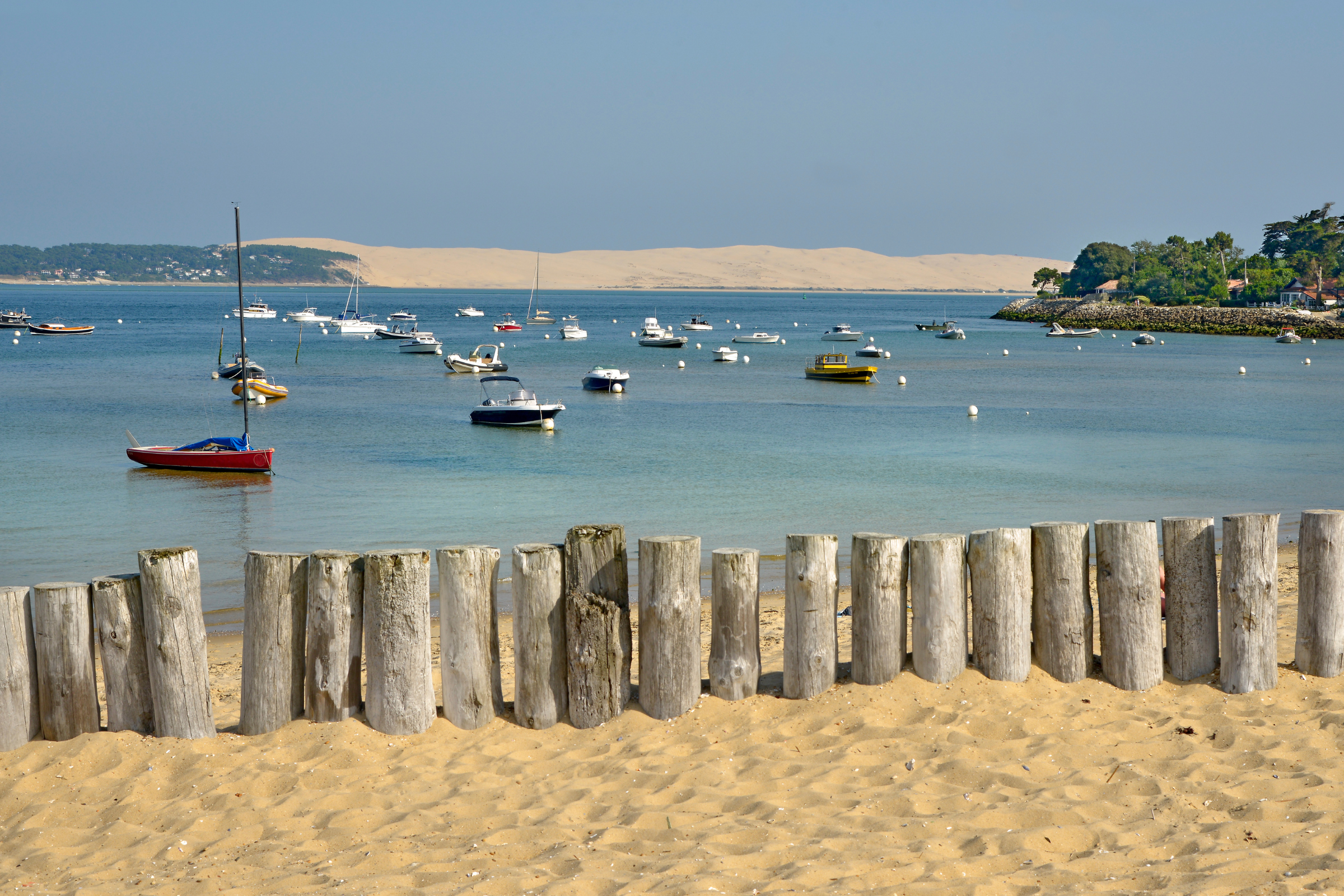 14_Cap_Ferret[1].webp